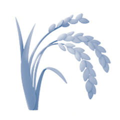 Starke Landwirtschaft — sichere Ernährung