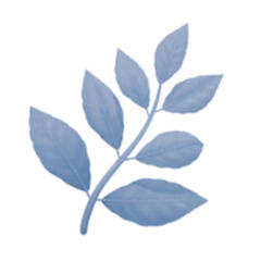 Naturschutz: Für eine lebenswerte Region